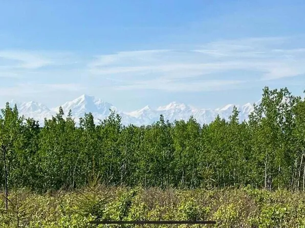 L17 & L35 Grandview Cir, Delta Junction, AK 99737