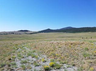 2837 Wagon Wheel Rd, Hartsel, CO 80449