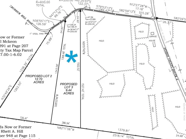 LOT 3 Burdick Hill Rd Lot 3, Otego, NY 13825