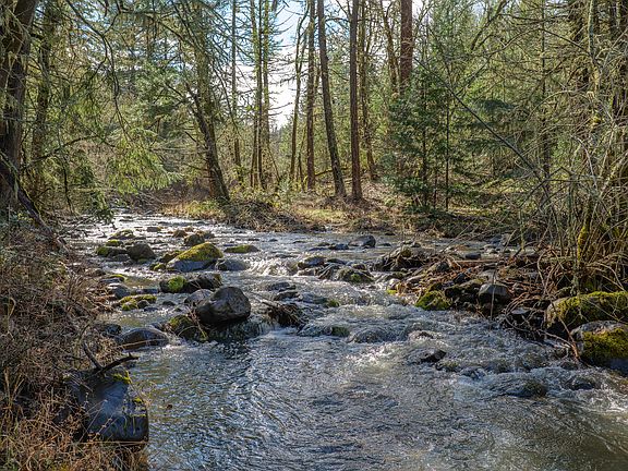 2nd image of 2829 Buckhorn Springs Rd