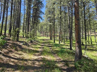 200 Matterhorn Dr, Rapid City, SD, 57702