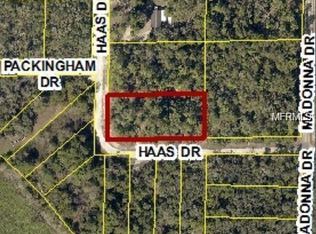 34145 Haas Dr, Webster, FL 33597