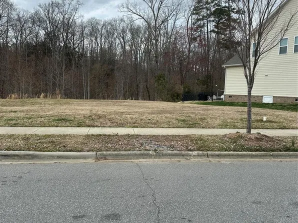 13717 Helen Benson Blvd, Davidson, NC 28036