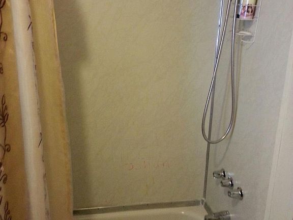 Guest Shower/Tub