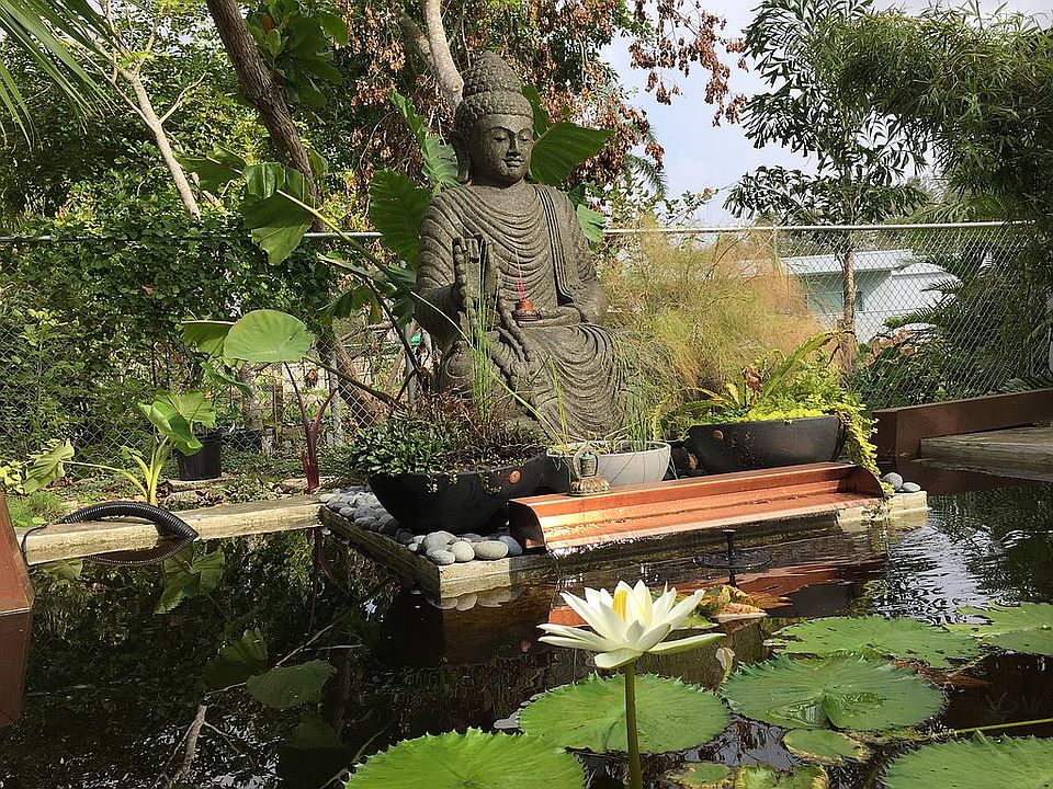 Front-yard pond with fish