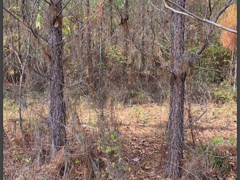 2nd image of 18 Hidden Pines Loop