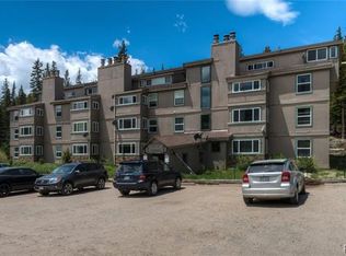 9366 County Road 275 UNIT 103, Idaho Springs, CO 80452