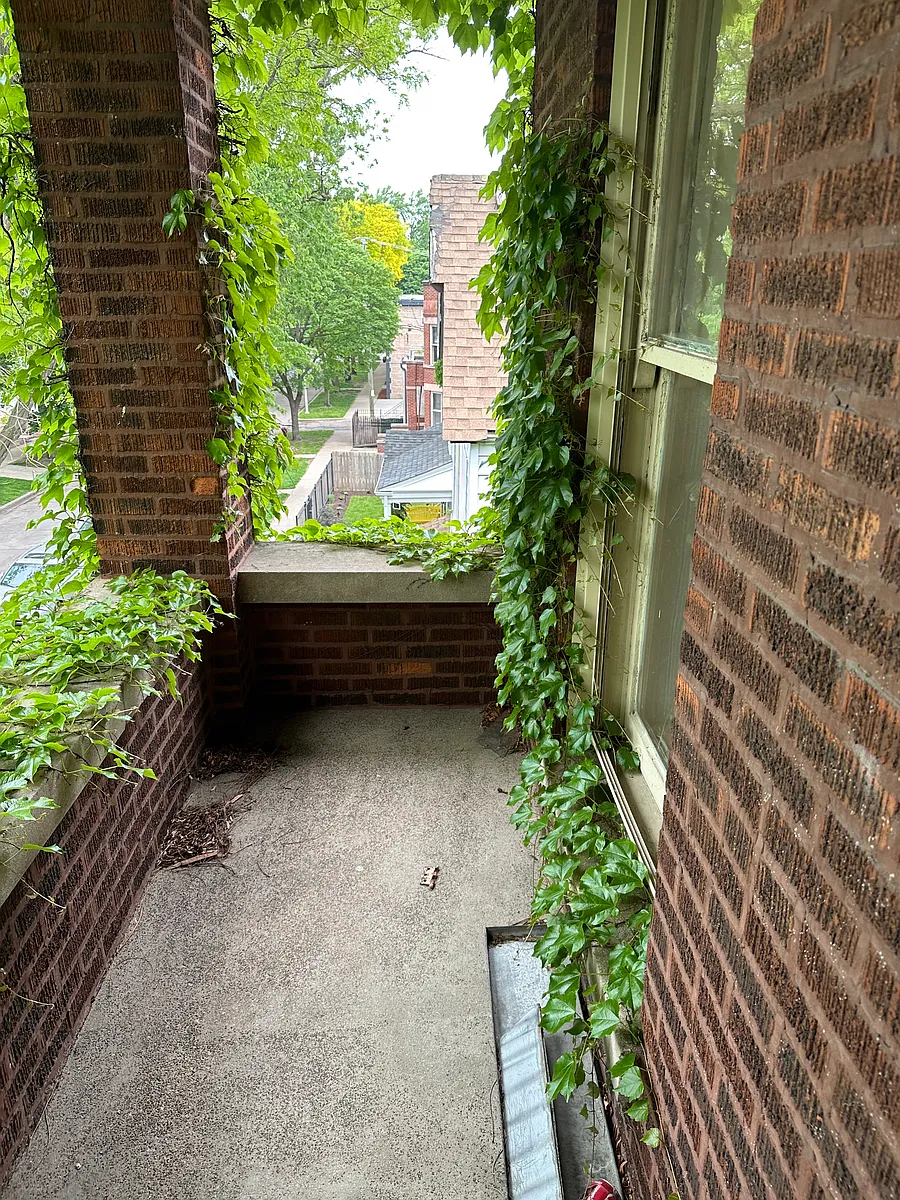 Building Photo - 6115 N Hermitage Ave #1