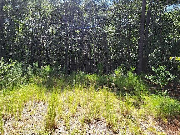 2nd image of 5863 Miley Hill Rd