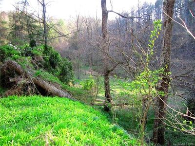 Foxfire Ridge Rd Lot 5, Leicester, NC, 28748