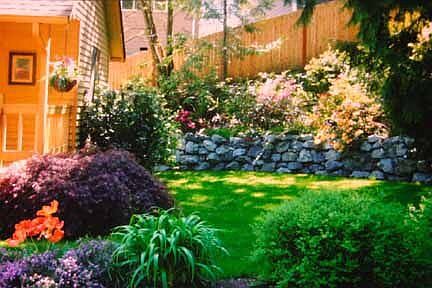 Front Yard