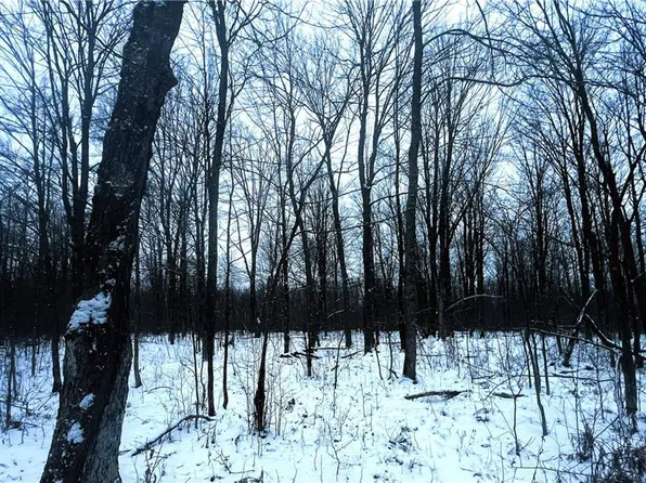 40 Acres Off Deer Path Road, Jump River, WI 54766