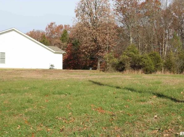 31 Luxor Landing Rd, Goreville, IL 62939