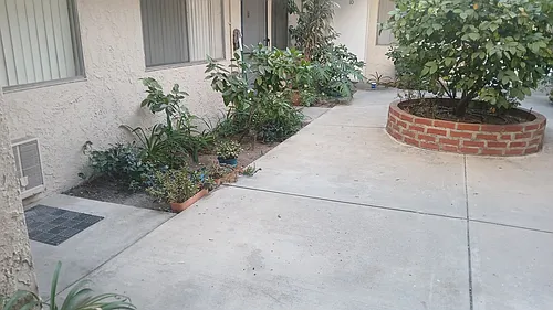 8343 Amigo Ave #4 Photo 1