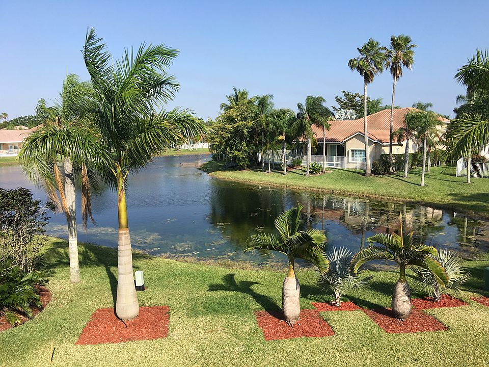 Lake views 