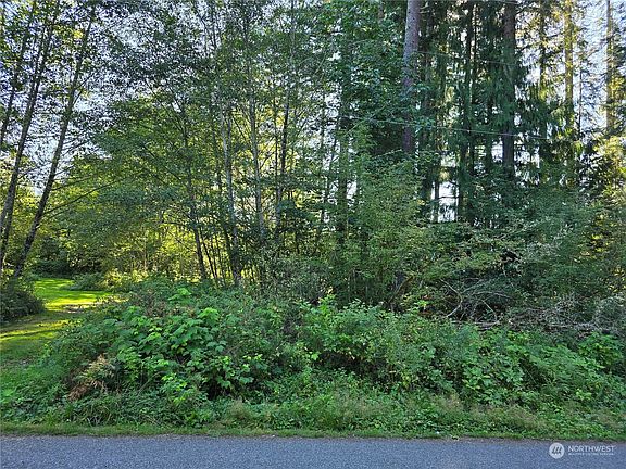 2nd image of 55415 317th Avenue E