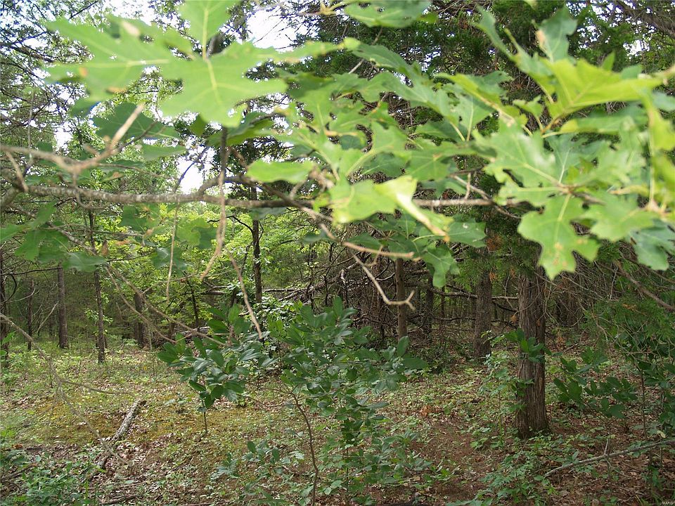 1st image of 5825 Forest Dr