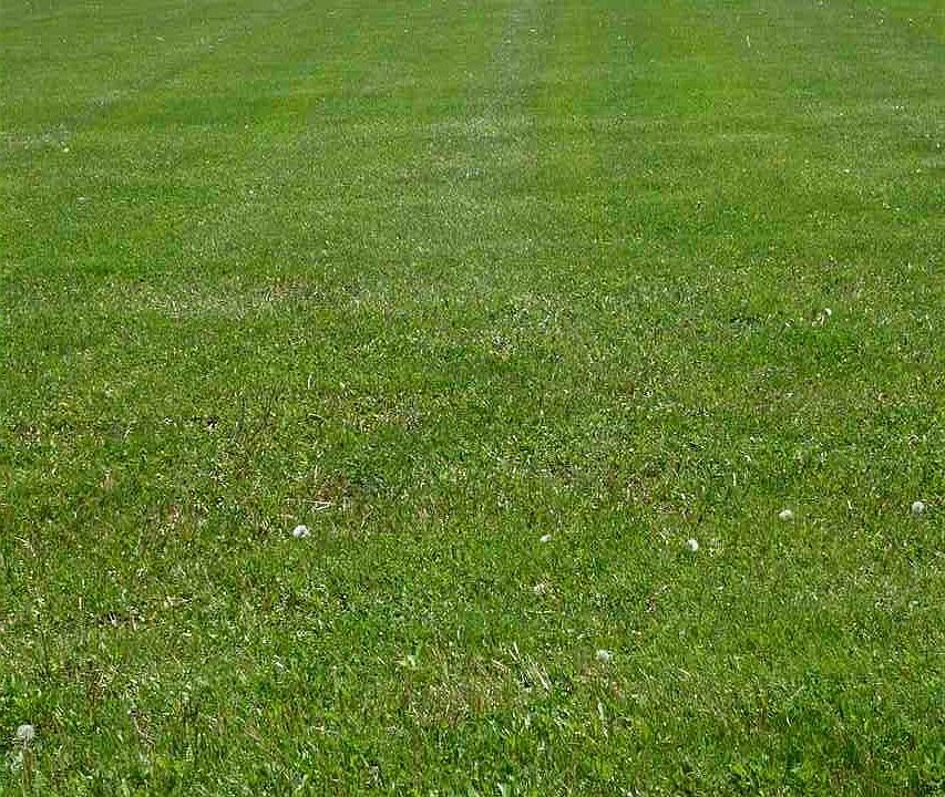 2nd image of 11421 Kress Rd