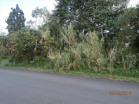 2nd image of Ilima St Lot 897