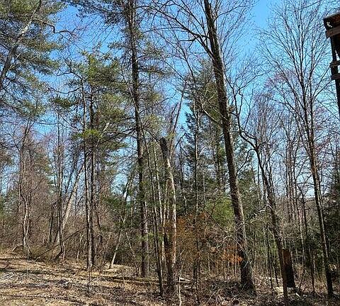 4th image of 112 Tallman Hollow Rd Lot 5