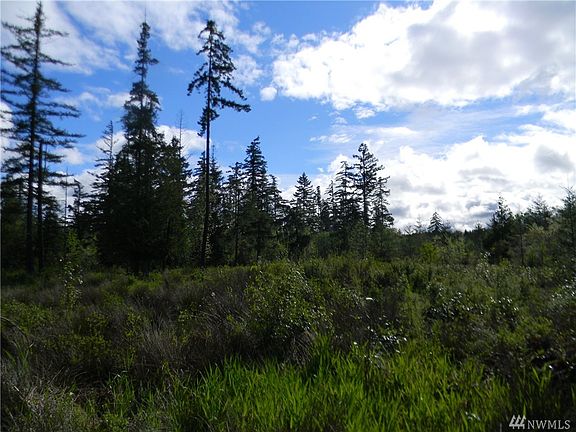 5th image of 44703 Nisqually Ridge Dr E