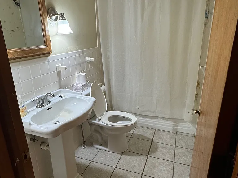 Main bathroom, right off the bedroom