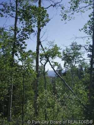 5th image of 696 Porcupine Loop #Ss-144