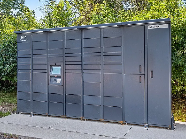 Amazon Hub Package Delivery