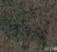 5th image of 113 Fir Ct