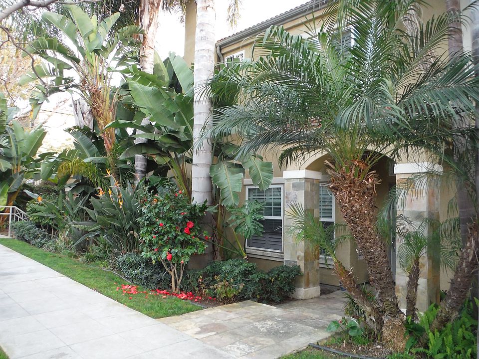 Lush landscaping