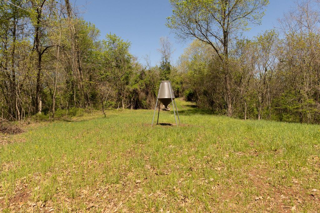Real estate listing image