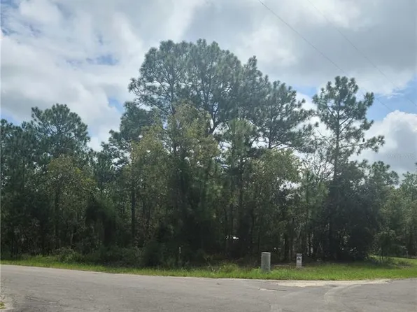 NE Seven Place & 150th Ave Lot 30, Williston, FL 32696