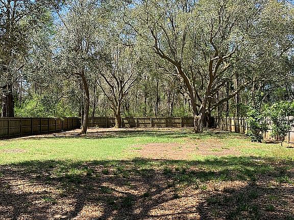 Large backyard