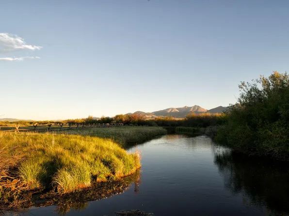 160 Hooper Ln, May, ID 83253