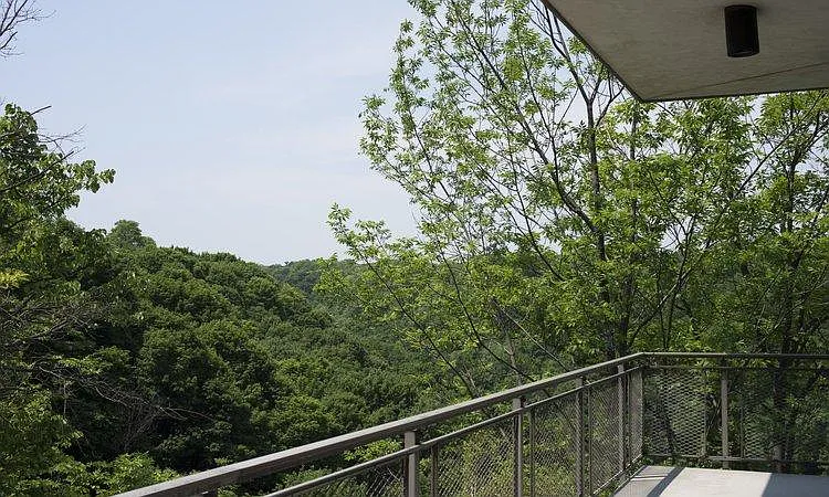 Seneca Towers — Photo 8
