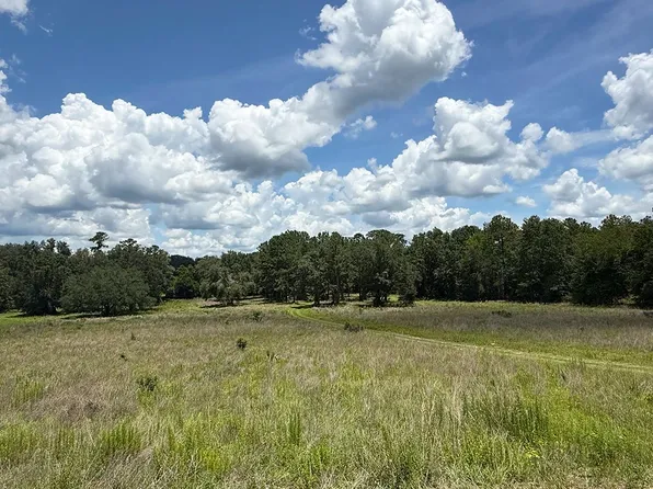 Tbd Nw Levi Gln, Lake City, FL 32055