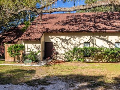 12301 N 58th St APT 53, Tampa, FL, 33617
