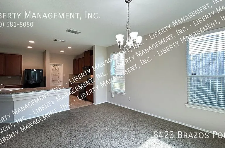 8423 Brazos Point — Photo 7