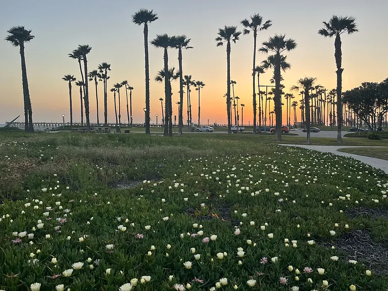 Beach sunset