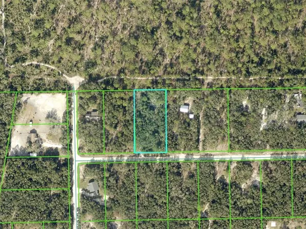 Tombstone St Lot 3, Webster, FL 33597