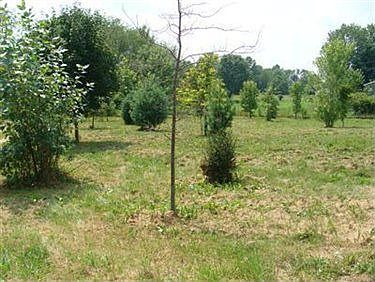 2nd image of 30719 Tower Rd