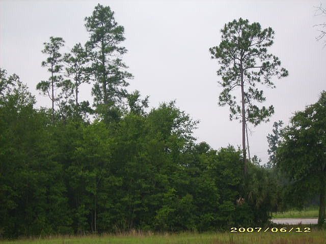 1st image of 5837 SE Us Highway 301