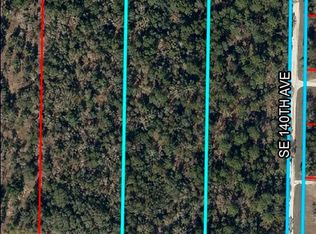 SE 30TH STREET LOT 9, MORRISTON, FL 32668