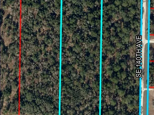 SE 30TH STREET LOT 9, MORRISTON, FL 32668