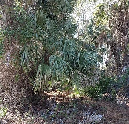 3rd image of 17331 Hillsborough Blvd
