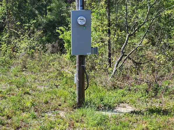 Little Zion Road, Sneads, FL 32460