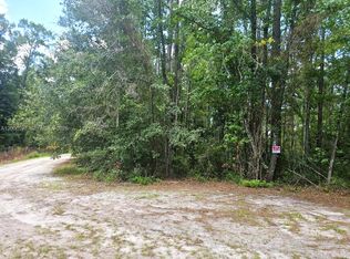 Rio De St John, Palatka, FL 32177
