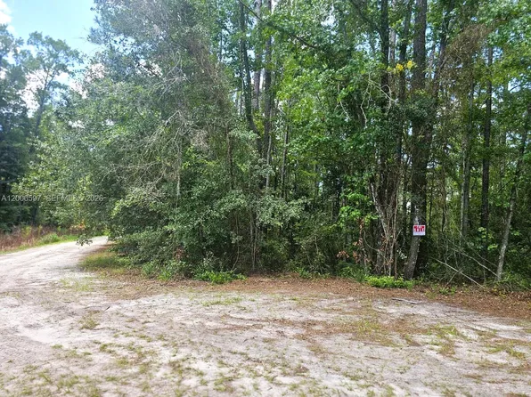 No Situs SE #2, Palatka, FL 32177