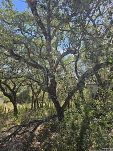 1437 TRAILRIDGE DR LOT 128, Canyon Lake, TX, 78133