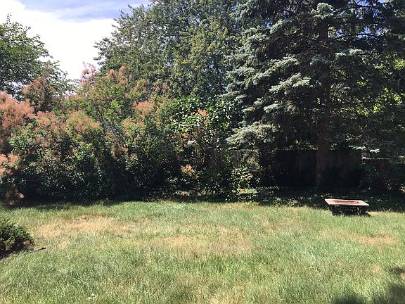 Back Yard view from Deck